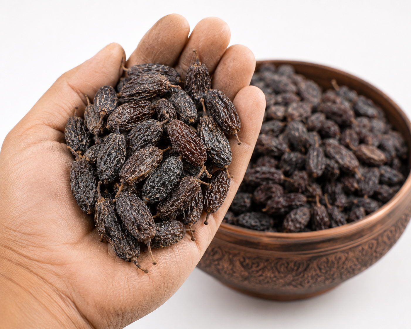 مویز فخری ملکان