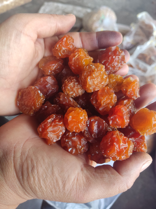 آلوچه شرابی مراغه درجه یک و اعلا یک کیلویی