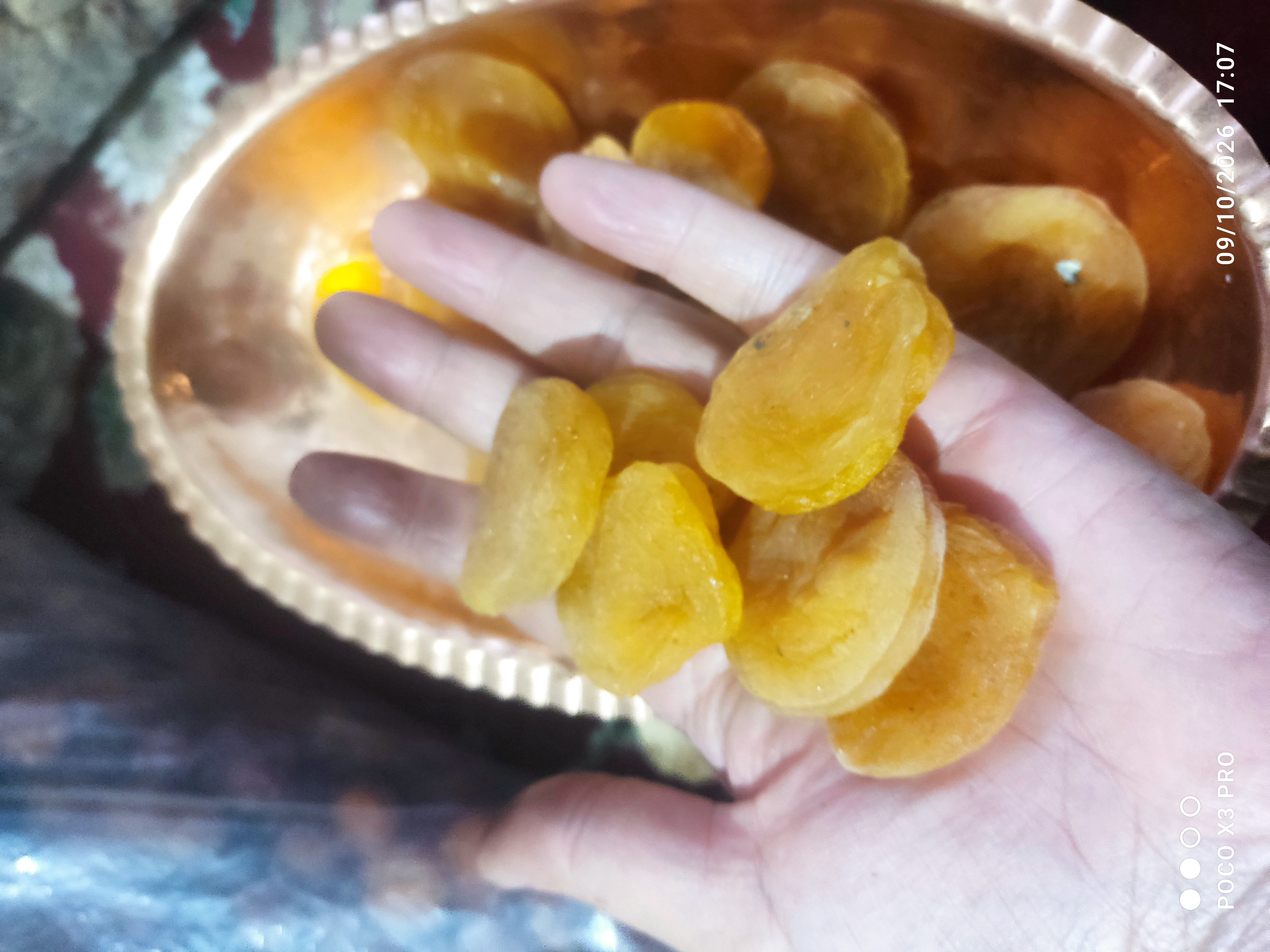 قیصی زردآلو صادراتی درجه یک درشت خشک و نرم یک کیلویی