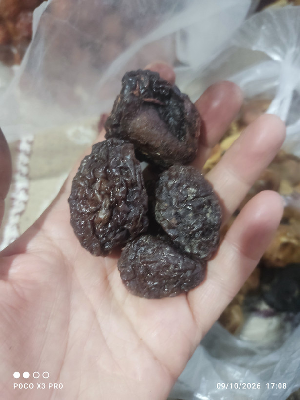 الو ملس ارگانیک درشت گوشتی نرم و تازه یک کیلویی